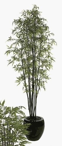 Artificial Growth W-75000 – 9 Foot Black Bamboo Tree – Green-Black