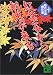 紅葉谷から剣鬼が来る―時代小説傑作選 (講談社文庫)