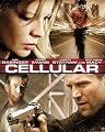 Cellular