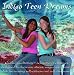 Indigo Teen Dreams: Guided Relaxation Techniques Designed to Decrease Stress, Anger and Anxiety while Increasing Self-esteem and Self-awareness (Indigo Dreams)