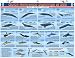 Book Quick Reference Sightings at Sea