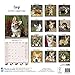 Corgi Calendar - Only Dog Breed Corgi Calendar - 2016 Wall calendars - Dog Calendars - Monthly Wall Calendar by Avonside