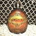 2012 Australian Gold JWOWW Ultimate 50X Black Bronzer Tanning Lotion 13.5 oz.