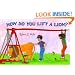 How Do You Lift a Lion? (Robert E. Wells Science)