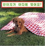 Where`s the Puppy (Korean edition)