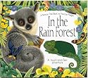 In the Rain Forest: A Maurice Pledger Nature Trail Book: Touch-and-Feel Adventure (Maurice Pledger Nature Trails)