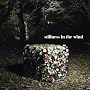 stillness in the wind(DVD�t)