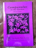 Campanulas in the garden