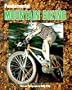 Fundamental Mountain Biking (Fundamental Sports)