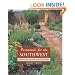 Perennials for the Southwest: Plants That Flourish in Arid Gardens
