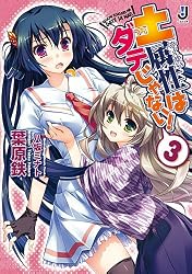 土属性はダテじゃない!3 (一迅社文庫)
