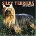 Silky Terriers 2006 Calendar