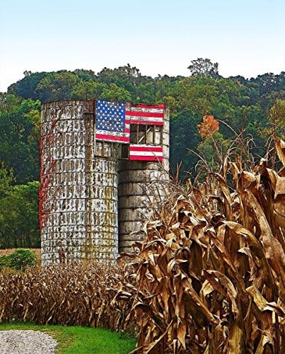Two Silos & Old Glory. A fine art photograph of two old concrete silos in a corn field with a huge plywood flag attached. Rustic patriotic art.