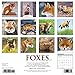 Foxes 2017 Wall Calendar