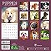 2017 Puppies Mini Calendar