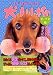 犬川柳 ダックス編