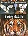 Saving Wildlife (Action for the Environment)