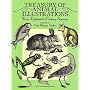 Treasury of Animal Illustrations from Eighteenth Century Sources (Dover Pictorial Archive Series)