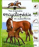 Revue Lito  / Le cheval
