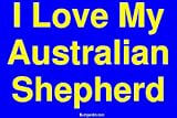 I Love My Australian Shepherd Bumper Sticker