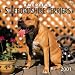 American Staffordshire Terriers 2001 Calendar