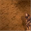 Wizard of Oz Scrapbooking Paper - Cowardly Lion