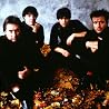 Image of Stranglers