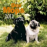 Der Mops 2011