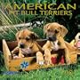 American Pit Bull Terriers 2001 Calendar