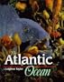 Life in the Sea - Atlantic Ocean