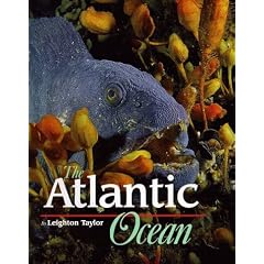 Life in the Sea - Atlantic Ocean