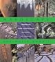 Hardscape: Innovative Hard Landscaping Materials for Gardens