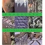 Hardscape: Innovative Hard Landscaping Materials for Gardens