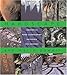 Books : Hardscape: Innovative Hard Landscaping Materials for Gardens