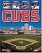 Books : Cubs: From Tinker to Banks to Sandberg to ...today