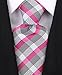 Scott Allan Men's Stripe Necktie