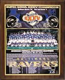 2000 Baltimore Ravens NFL Football Super Bowl 35 XXXV Championship 13x16 Plaque