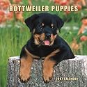 Rottweiler Puppies 2007 Mini Calendar