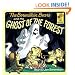 The Berenstain Bears and the Ghost of the Forest