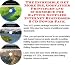 Book The Incredible Get More Biz, Godfather Principles and eCommerce for Rafting Supplies Internet Businesses 3 CD Power Pack