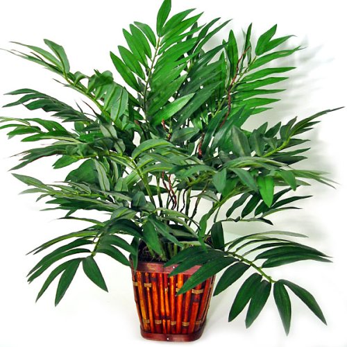 Forever Silk 17-FL4548 Silk Bamboo Palm Tree