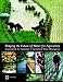 Book Shaping the Future of Water for Agriculture: A Sourcebook for Investment in Agricultural Water Management