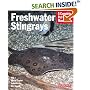 Freshwater Stingrays (Complete Pet Owner's Manual)