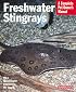 Freshwater Stingrays (Complete Pet Owner's Manual)