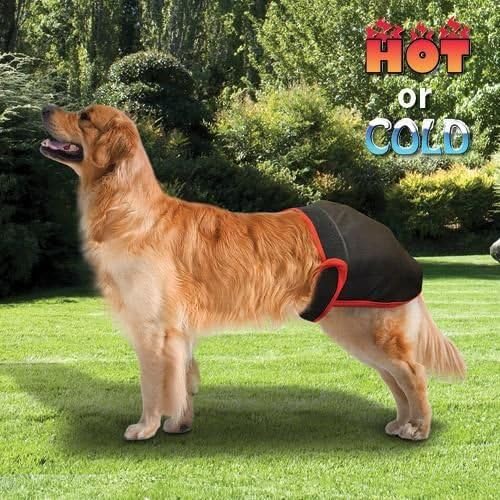 BUCKWHEAT FILLED HOT/COLD THERAPEUTIC DOG PANTS - LARGE 50-75 LBS.