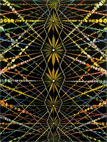 large image