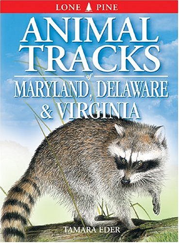 Delaware