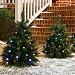 Cordless LED Pre-lit Walkway Tree