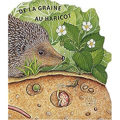De la graine au haricot