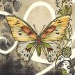 Butterfly Song I - 24 X 24"